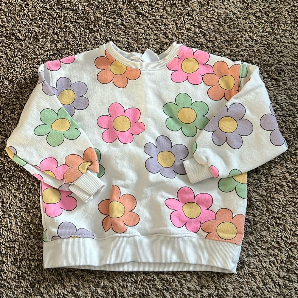 Zara Toddler Sweatshirt